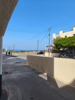 Flamingo - Paphos - 2
