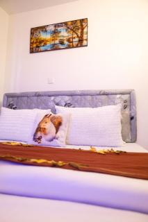 Nyabush fedha comfort suites - 1