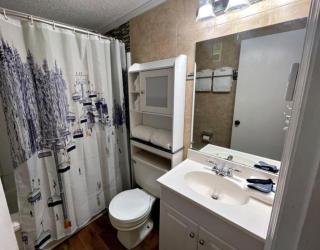 ML282 Cozy 2BR 2BA Mountain Views Ski-in Ski-out - 5