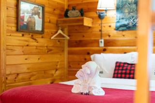 My Cup Overflows Cabin - 9