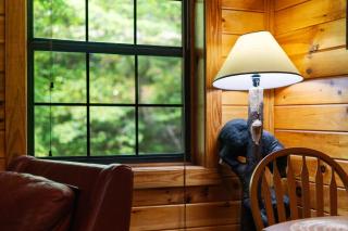 My Cup Overflows Cabin - 8