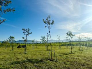 GrandWara Khao Yai แกรนด์วารา เขาใหญ่ - Ban Nong Song Hong - 7