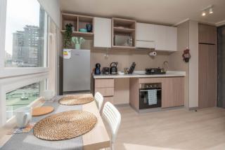 HOM I AireAcond Piscina Gimnasio Metro Santa Lucía - 3