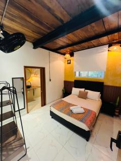 Coffee House Minca - 2