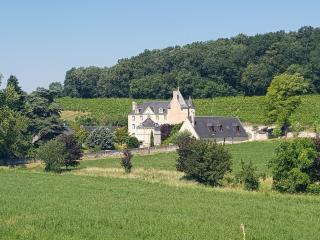 Château Pas de Loup Farmhouse - Saix - 9