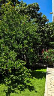 Apartments Seagreen Villas - 7