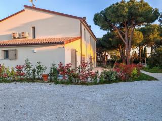 Podere Livrone - Appartamento Magona - 6