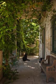 Charming apartment in our farmhouse - 5