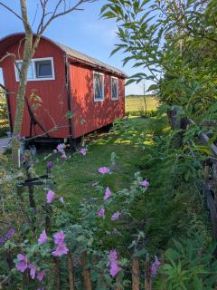 Shepherd's hut De Skoeboet - 5