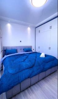 2 Bedroom Alina Ridge Kileleshwa, Nairobi - 9