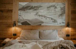 Stalina Alpine Chalet - 5