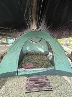 Maupiti Bambou Camping - 9