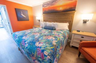 Newly Added, Remodeled, Direct Oceanfront, Pools! - 7
