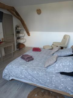 Chez Zabou chambre nature - Sainte-Suzanne - 1