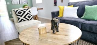Safari Vibes 1 mi from Busch Gardens sleeps 6 - 1