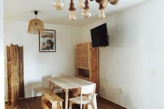 Capybara at the Beach Costa de Caparica - 7