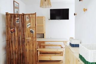 Capybara at the Beach Costa de Caparica - 1