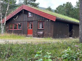 Bjorliheimen Fjellhotell-Hytte 04 & 16 - 0