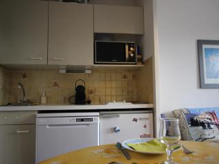 Studio cabine pour 4 pers, balcon, proche pistes - Roche Béranger, Chamrousse - FR-1-549-62 - 3