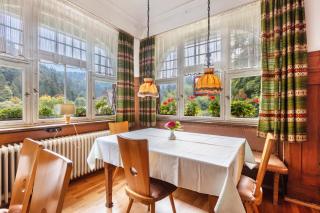 Pension Alte Gerbe - 4