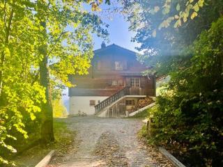 Chalet near Gstaad - 7