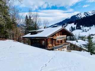 Chalet near Gstaad - 6