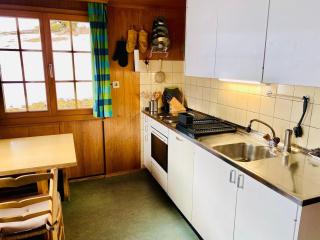 Chalet near Gstaad - Gstaad - 4