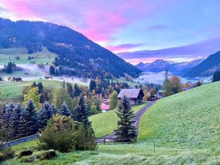Chalet near Gstaad - 5