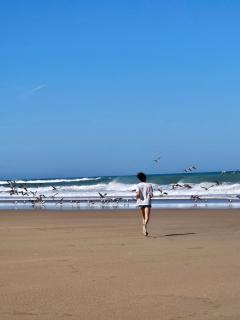 Best Sea View in Morocco - 9