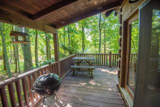 Fleetwood Falls Cabin near Boone- Community River & Lake Access, Dogs OK - 1