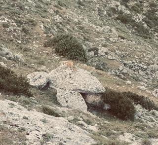 Al Dolmen - Monte SantʼAngelo - 9