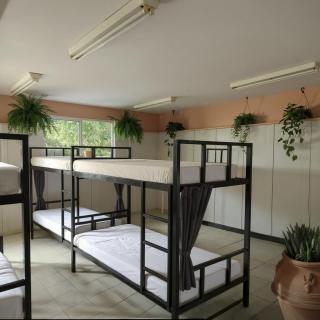 JUNGLE STATION - Hostel - 5