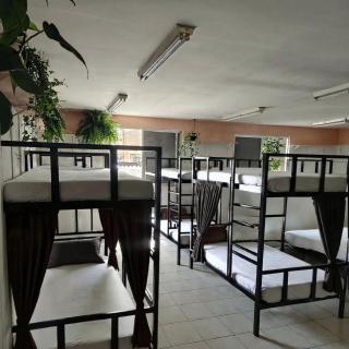 JUNGLE STATION - Hostel - 6