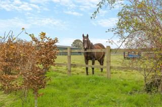 Grange Farm House - 2
