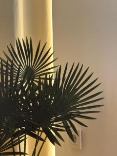 Belvedere Studio Apartman - 4