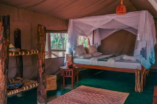 Angalia Tented Camp - Mikumi - 8