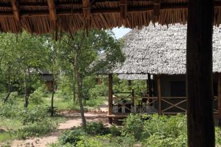 Angalia Tented Camp - Mikumi - 6