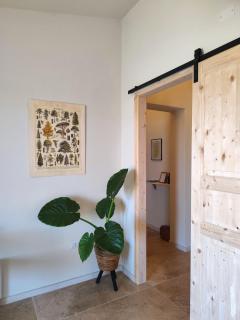 Countryside guest accomodation near Cagliari - 2