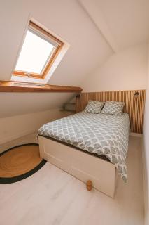 Cosy Garden DisneyLand - 5