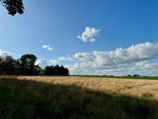 Nice house in the countryside with a view - Agerskov - 8