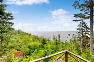 Mountain Spruce - Northport - 8
