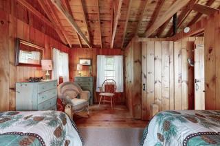 Mountain Spruce - Northport - 3