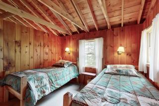 Mountain Spruce - Northport - 1