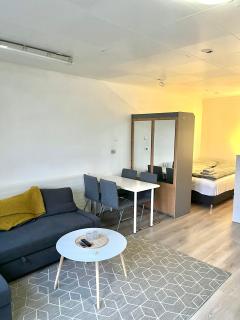 Studio Apartment in Reykjavik - 0