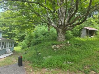 Comfortable and scenic - 3