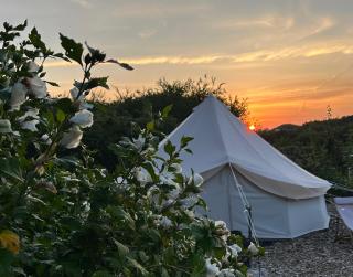 Cozy Garden Glamping - Svendborg - 9