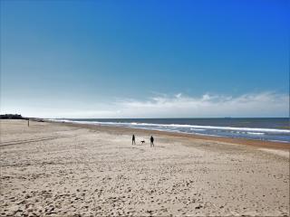 Holiday Home Noordwijk near Beach & Sauna - 8