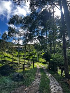 Casa dos Lagos - 8
