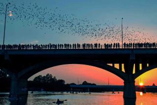 Hyde Park Carriage House - 3