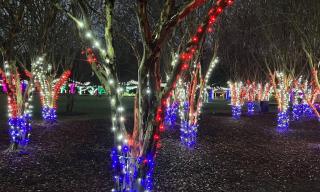 La Villa Gris - Anona - 7